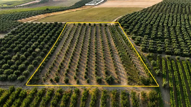 Manisa Salihli Akören Mahallesi 6.150 m² satılık tarla arsa - Fotoğraf 1