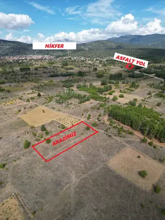 Denizli Tavas Nikfer Mahallesi 2.232 m² satılık - Fotoğraf 1