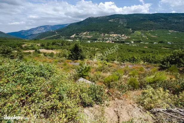 İzmir Kemalpaşa Kamberler Mahallesi 5.978 m² satılık bağ & Bahçe arsa - Fotoğraf 1