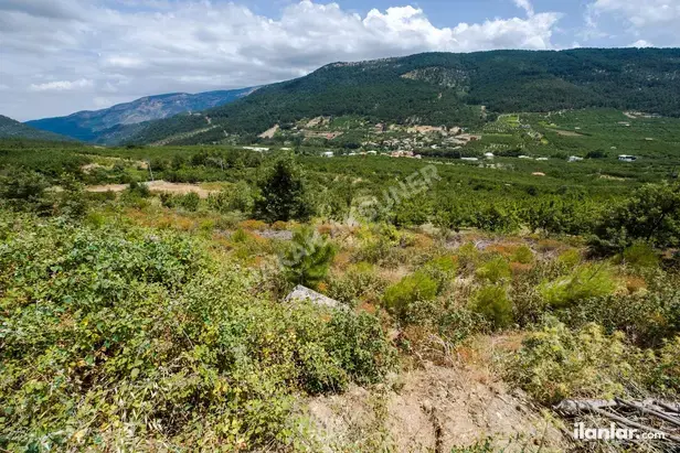 İzmir Kemalpaşa Kamberler Mahallesi 5.978 m² satılık - Fotoğraf 1