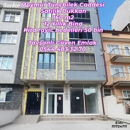 Kütahya Tavşanlı Moymul Mahallesi 160 m² satılık - Fotoğraf 1