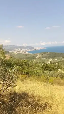 Bursa Mudanya Altıntaş Mahallesi 3.998 m² satılık - Fotoğraf 1