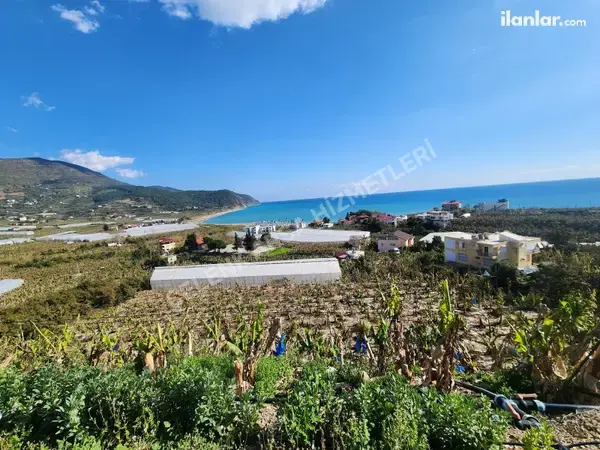 Antalya Gazipaşa Yakacık Mahallesi 854 m² satılık villa arsa - Fotoğraf 1