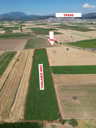 Denizli Tavas Orta Mahallesi 8.961 m² satılık - Fotoğraf 1
