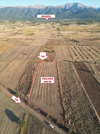 Denizli Tavas Yorga Mahallesi 4.342 m² satılık - Fotoğraf 1