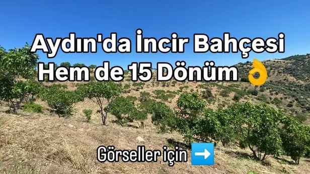 Aydın Yenipazar Paşaköy Mahallesi 15.778 m² satılık - Fotoğraf 1
