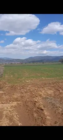 Denizli Tavas Bahçeköy Mahallesi 1.227 m² satılık - Fotoğraf 1