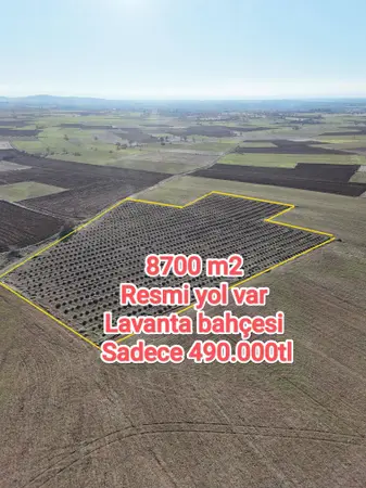 Denizli Bekilli Köselli Mahallesi 8.697 m² satılık - Fotoğraf 1