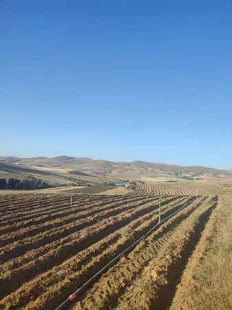 Niğde Merkez Elmalı, Menderes Mahallesi 13.428 m² satılık - Fotoğraf 1