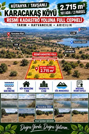 Kütahya Tavşanlı Karacakaş Köyü Mahallesi 2.715 m² satılık - Fotoğraf 1
