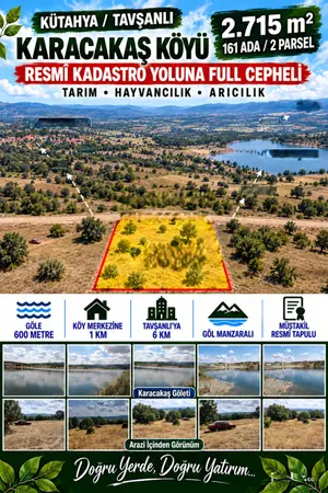 Kütahya Tavşanlı Karacakaş Köyü Mahallesi 2.715 m² satılık - Fotoğraf 1