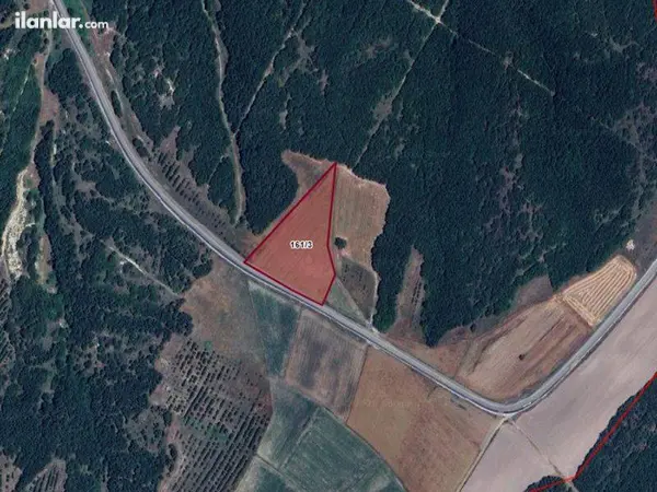 İstanbul Silivri Beyciler Mahallesi 250 m² satılık - Fotoğraf 1