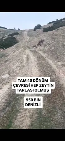 Denizli Çal Bayıralan Mahallesi 39.000 m² satılık - Fotoğraf 1