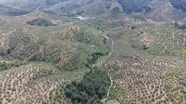 Çanakkale Ayvacık Bahçedere Köyü Mahallesi 13.325 m² satılık - Fotoğraf 1