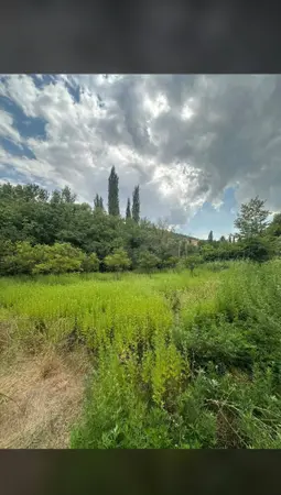 Kahramanmaraş Türkoğlu Avşarlı Mahallesi 1.765 m² satılık - Fotoğraf 1