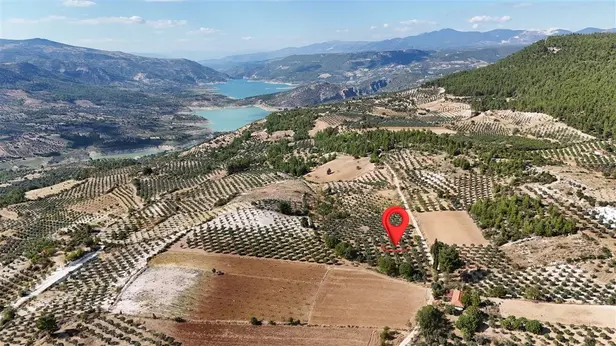 Aydın Bozdoğan Örencik Mahallesi 4.000 m² satılık - Fotoğraf 1