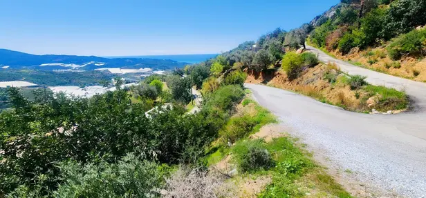 Antalya Alanya Büyükpınar Mahallesi 687 m² satılık - Fotoğraf 1