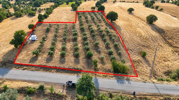 Manisa Kula Kenger Mahallesi 5.500 m² satılık - Fotoğraf 1