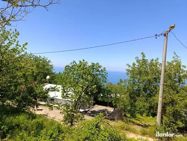 Bursa Karacabey Kurşunlu Mahallesi 2.624 m² satılık - Fotoğraf 1