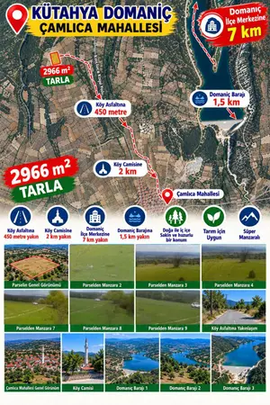 Kütahya Domaniç Çamlıca Köyü Mahallesi 2.966 m² satılık - Fotoğraf 1