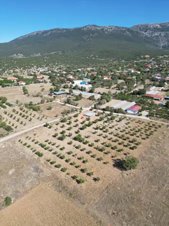 Denizli Tavas Bahçeköy Mahallesi 2.185 m² satılık - Fotoğraf 1