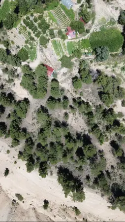 Denizli Acıpayam Aliveren Mahallesi 3.939 m² satılık - Fotoğraf 1