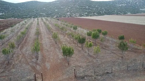 Antalya Korkuteli Bayat Mahallesi 11.200 m² satılık - Fotoğraf 1