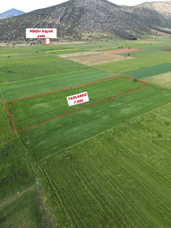 Denizli Tavas Garipköy Mahallesi 7.085 m² satılık - Fotoğraf 1