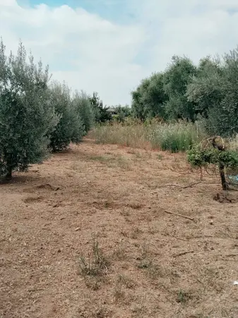Manisa Ahmetli Gökkaya Mahallesi 1.600 m² satılık - Fotoğraf 1