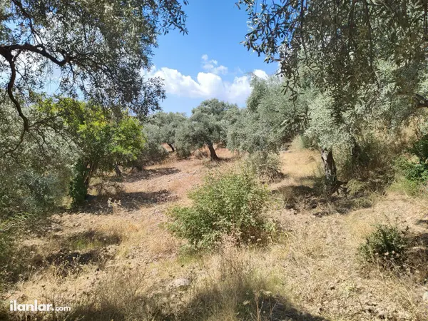 İzmir Torbalı Karaot Mahallesi 909 m² satılık - Fotoğraf 1