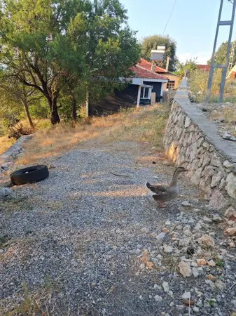 Denizli Çameli Bıçakçı Mahallesi 387 m² satılık - Fotoğraf 1