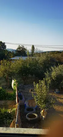 Denizli Kale Özlüce Mahallesi 120 m² satılık - Fotoğraf 1