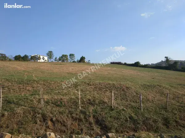 Samsun 19 Mayıs Beylik Mahallesi 3.100 m² satılık - Fotoğraf 1