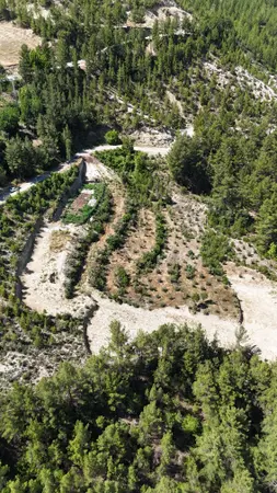 Denizli Çameli Ericek Mahallesi 11.693 m² satılık - Fotoğraf 1