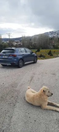 İlan Görseli 2