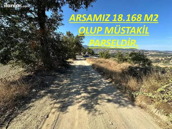 Balıkesir Sındırgı Yüreğil Mahallesi 18.168 m² satılık tarla arsa - Fotoğraf 3