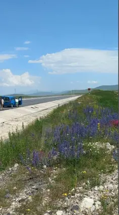Ardahan Çıldır Meryemköy Köyü Mahallesi 1.797 m² satılık tarla arsa - Fotoğraf 2