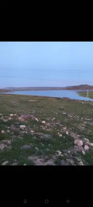 İlan Görseli 2