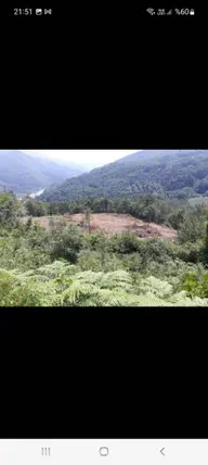 İlan Görseli 2