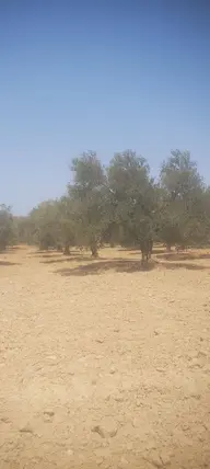İlan Görseli 2