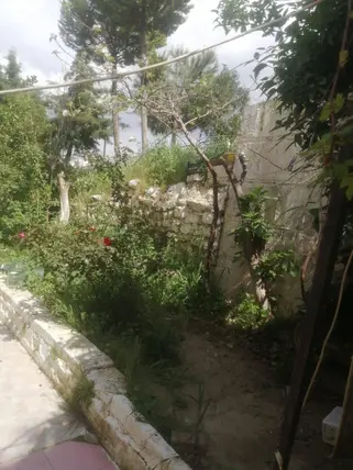İlan Görseli 2