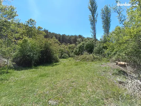 Kütahya Domaniç Çukurca, Küçükler Mahallesi 278 m² satılık bağ & Bahçe arsa - Fotoğraf 2