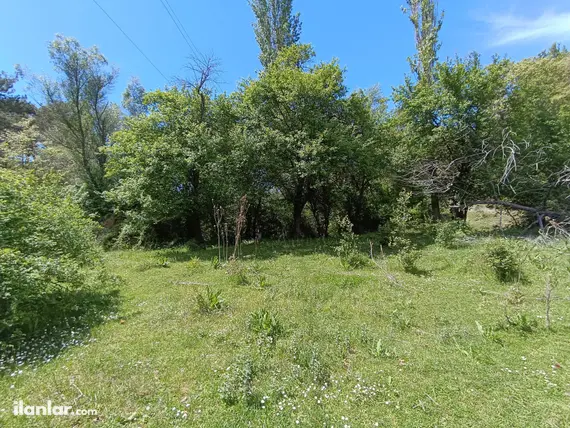 Kütahya Domaniç Çukurca, Küçükler Mahallesi 278 m² satılık bağ & Bahçe arsa - Fotoğraf 3