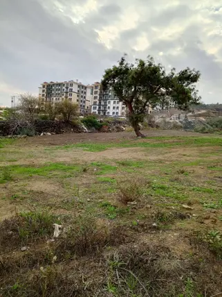 İlan Görseli 2