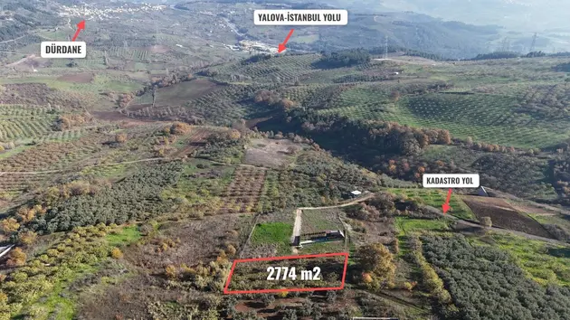 İlan Görseli 2