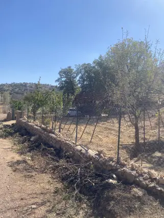 İlan Görseli 2