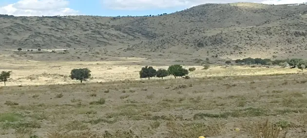 İlan Görseli 2