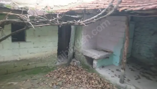 İlan Görseli 2