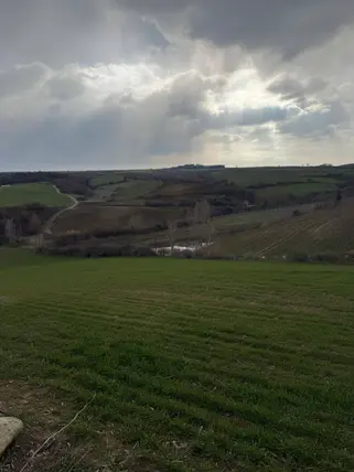 İlan Görseli 3