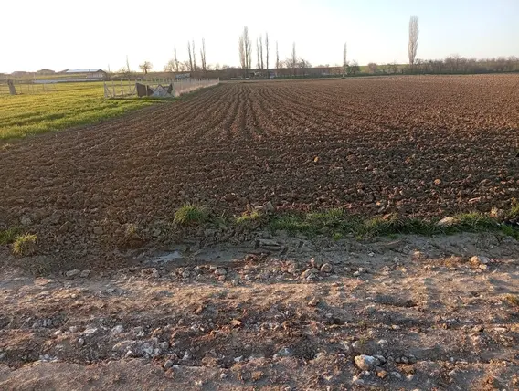 İlan Görseli 2